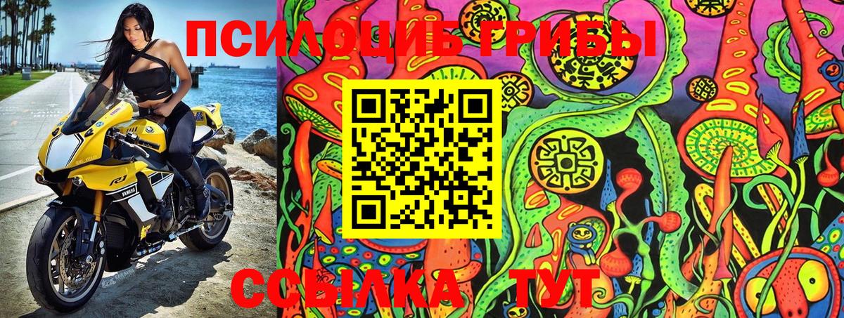 Псилоцибиновые грибы MAGIC MUSHROOMS Знаменск