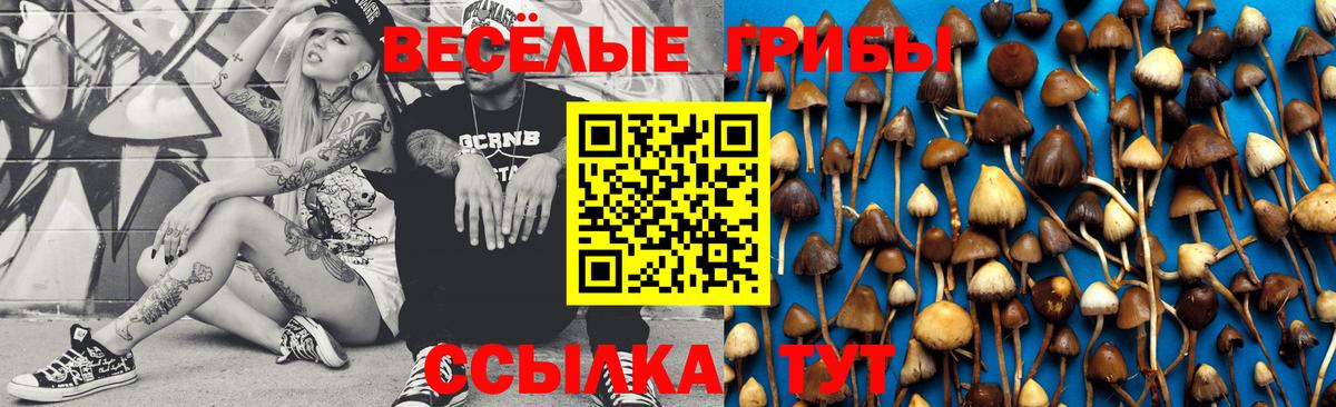Псилоцибиновые грибы мухоморы  Вход с VPN  Галлюциногенные грибы ЛСД  Знаменск 